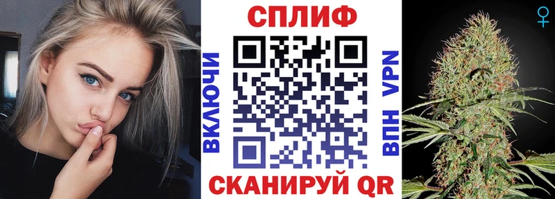 Бошки Шишки Елизаветинская