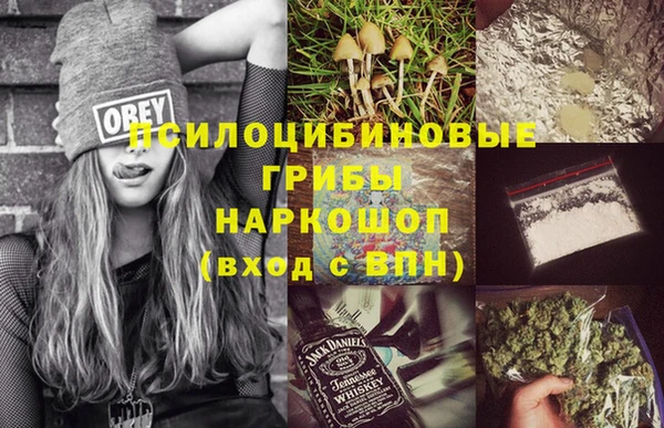 СК Краснослободск