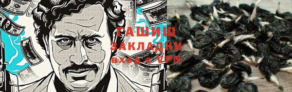СК Краснослободск