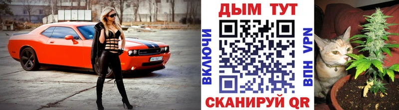 Купить где  Елизаветинская  Шишки марихуана ГИДРОПОН 